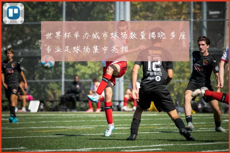 世界杯举办城市球场数量揭晓 多座专业足球场集中亮相