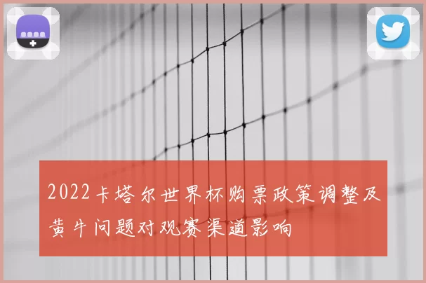 2022卡塔尔世界杯购票政策调整及黄牛问题对观赛渠道影响
